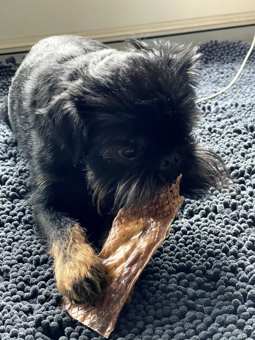 6 Inch Beef Jerky Strip