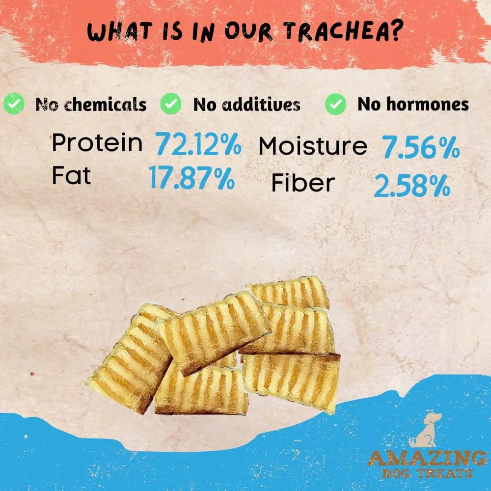 Amazing Dog Treats - 3-4 Inch Beef Trachea Rings (50 pcs/pck) -Premium Dog Chews- Great for Small Size Dogs - Excellent Source of Glucosamine and Chondroitin - Trachea Dog Chews