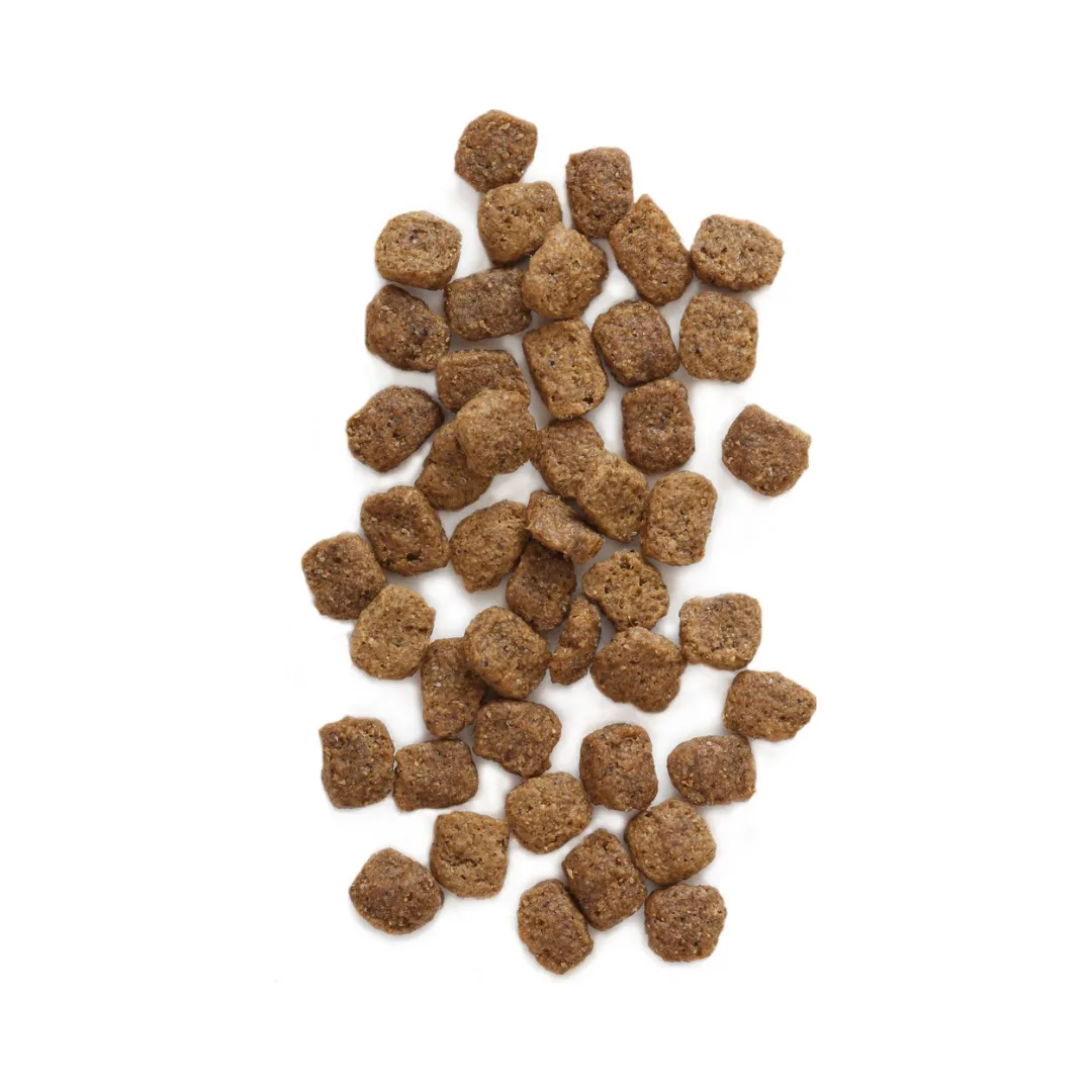 Earthborn Holistic Grain Free Meadow Feast Dog Dry Food