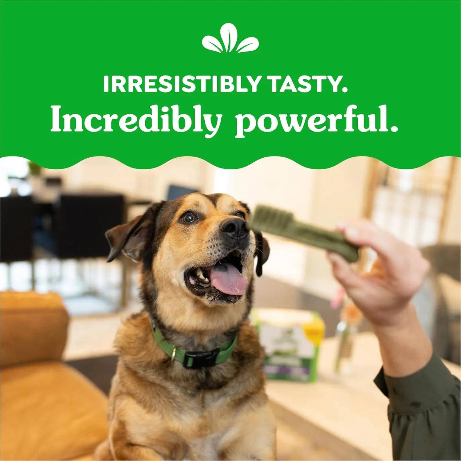 Greenies Large Natural Dental Care Dog Treats, 3-Flavor Variety Pack, (3) 12 oz. Pouches, 24 Total Treats