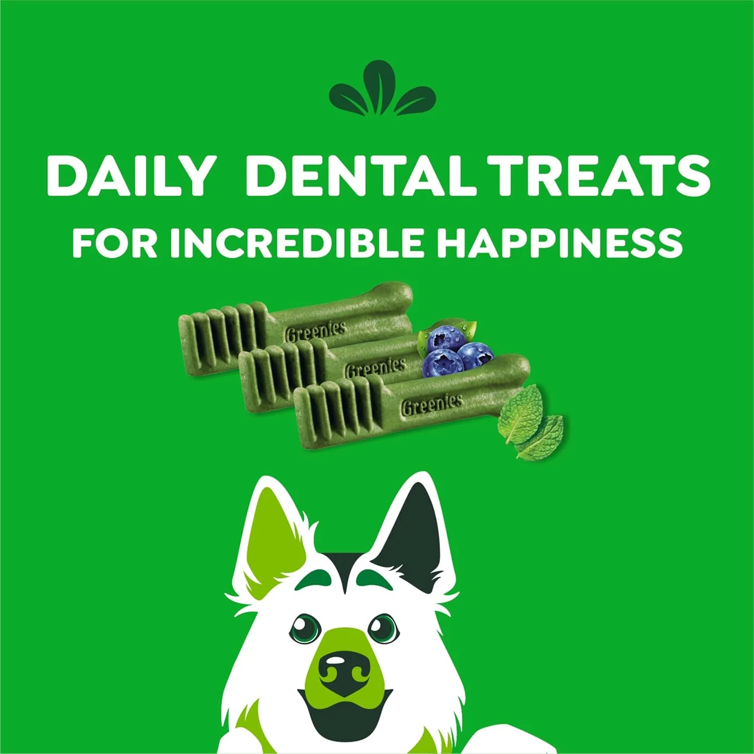 Greenies Large Natural Dental Care Dog Treats, 3-Flavor Variety Pack, (3) 12 oz. Pouches, 24 Total Treats