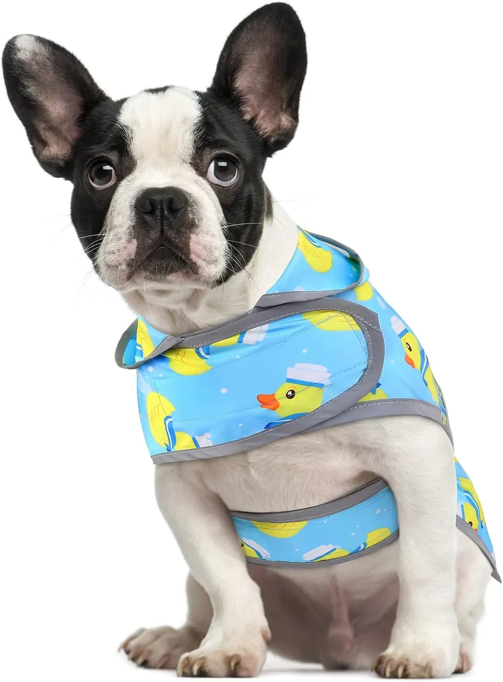 HDE Dog Raincoat with Clear Hood Rain Jacket Poncho for Small Medium Large Dogs Sailor Ducks Blue - M