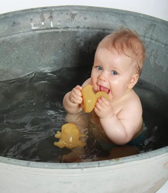 Hevea POND Bath Toys Pack of 3
