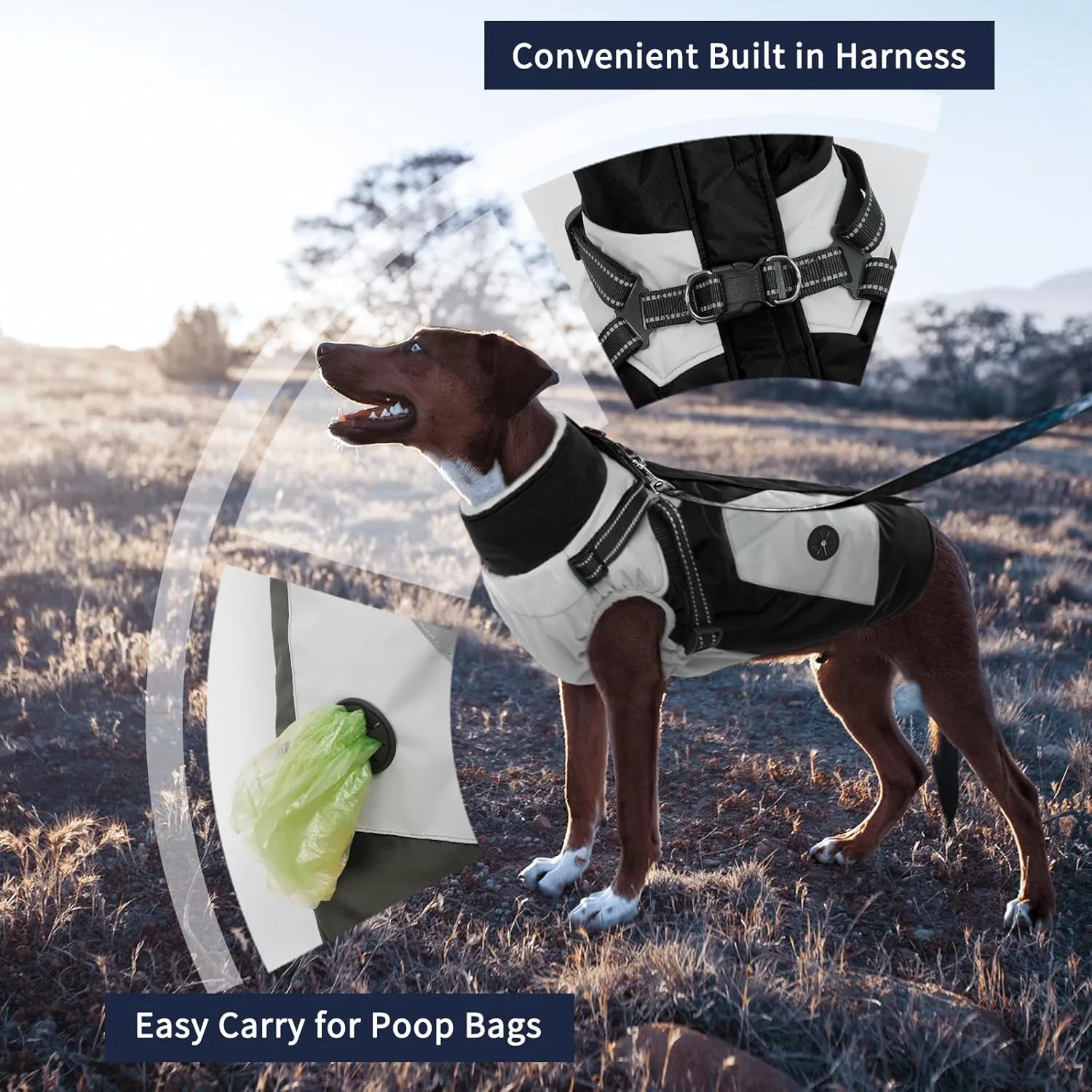 IECOii Dog Coat with Harness Built In - Black, Large - Waterproof Winter Coat, Fleece Lined Snow Jacket for Dogs