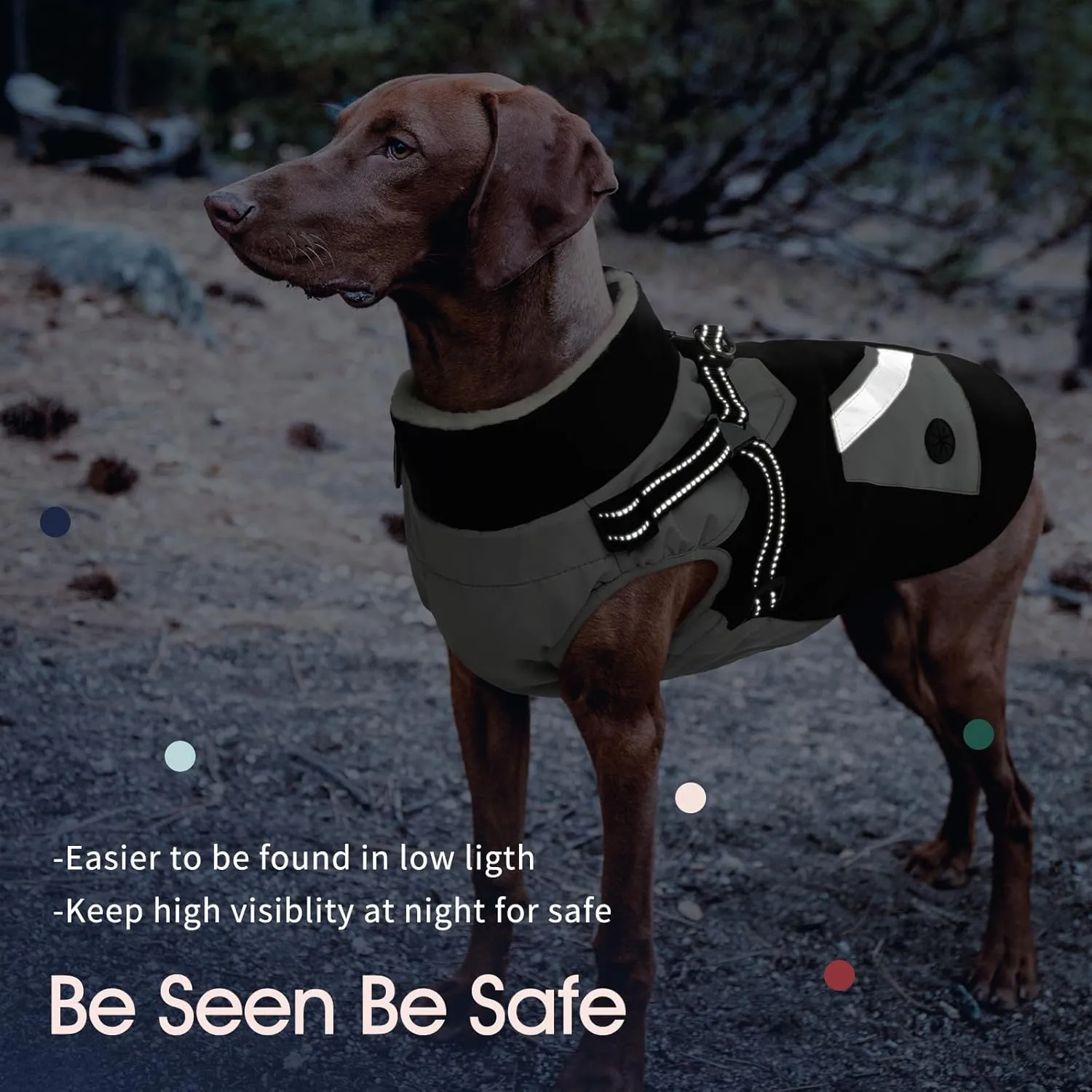 IECOii Dog Coat with Harness Built In - Black, Large - Waterproof Winter Coat, Fleece Lined Snow Jacket for Dogs