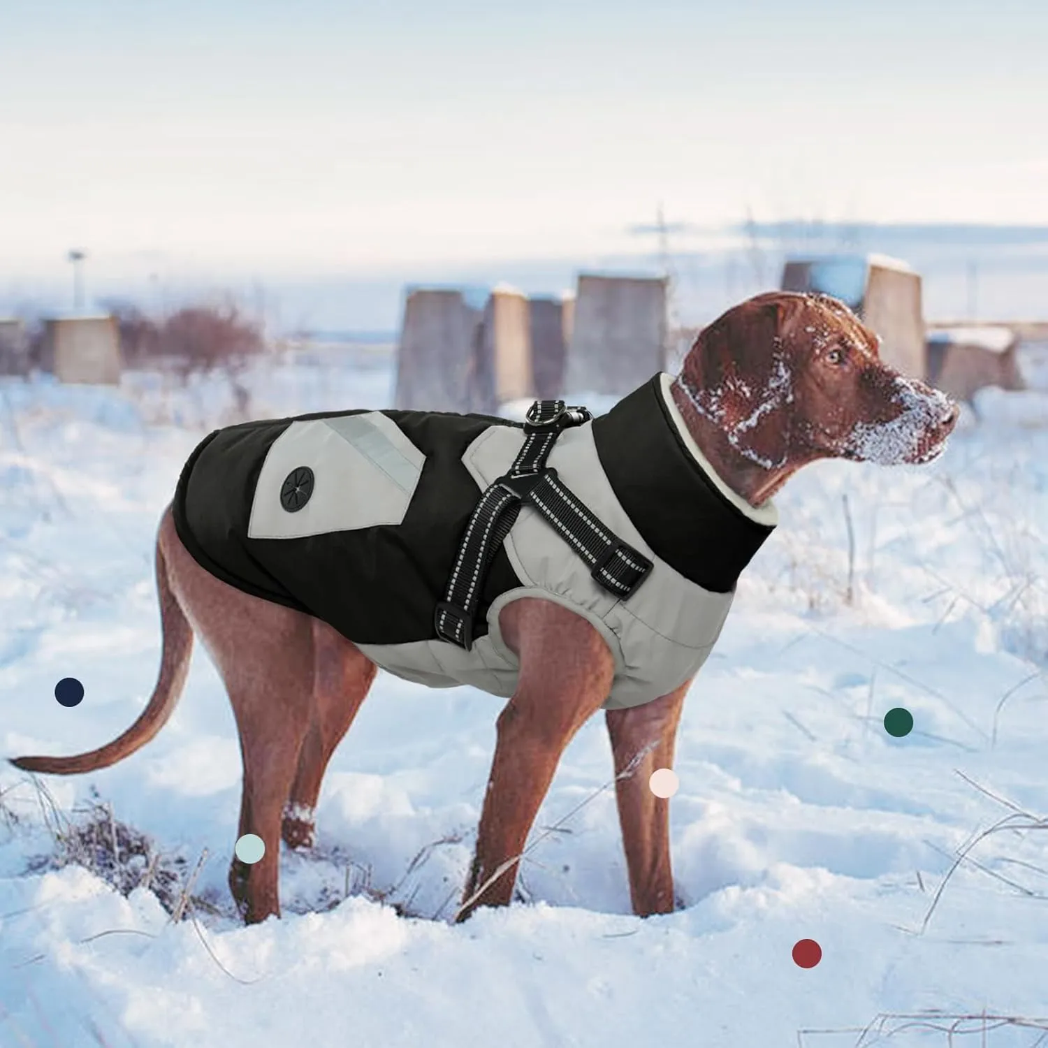 IECOii Dog Coat with Harness Built In - Black, Large - Waterproof Winter Coat, Fleece Lined Snow Jacket for Dogs