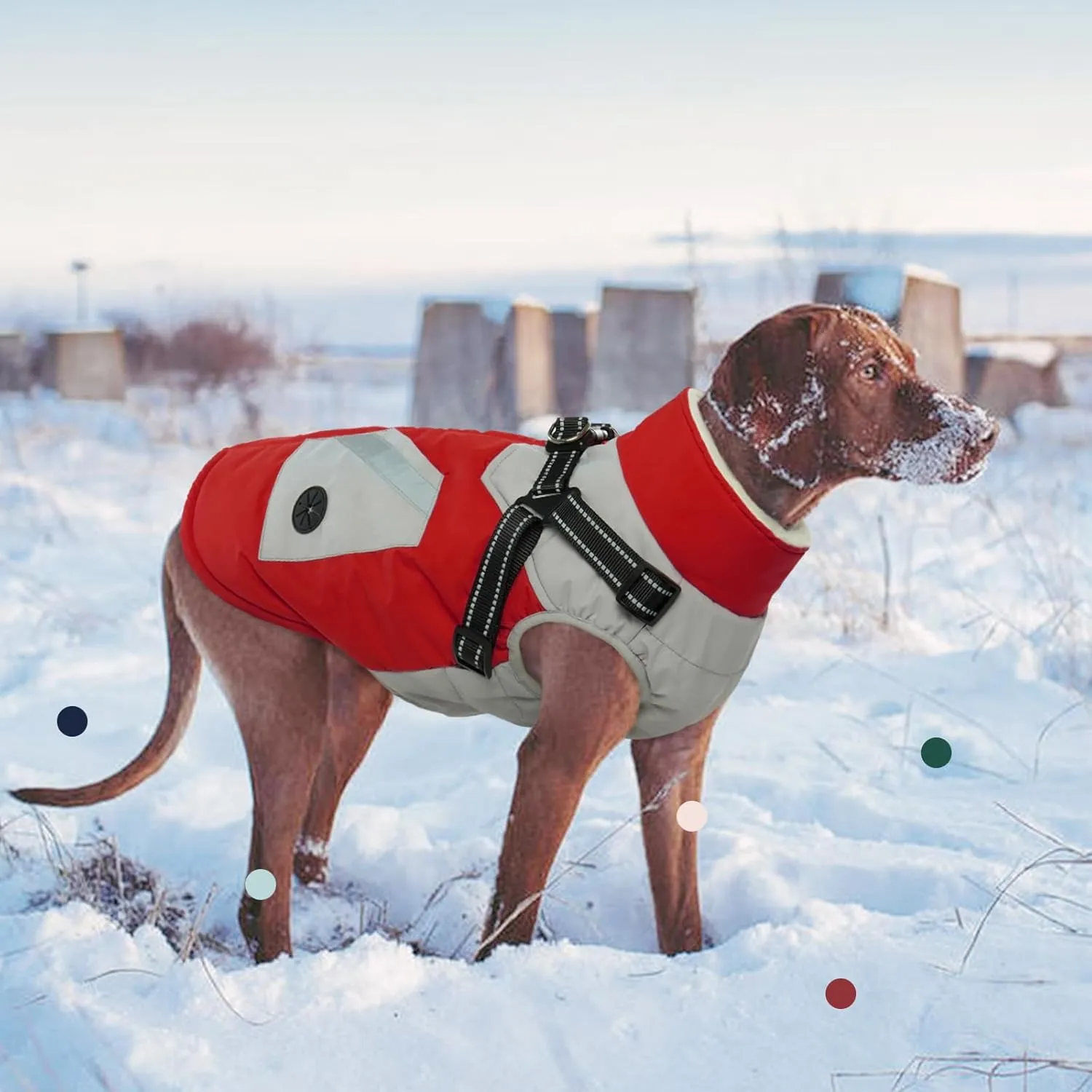 IECOii Dog Coat with Harness Built in -Red,Large- Waterproof Dog Winter Coat Back Zipper,Sweater for Dogs,Dog Jacket Clothes,Fleece Lined Dog Snow Jacket Snowsuit French Bulldog Havanais Shiba Inu