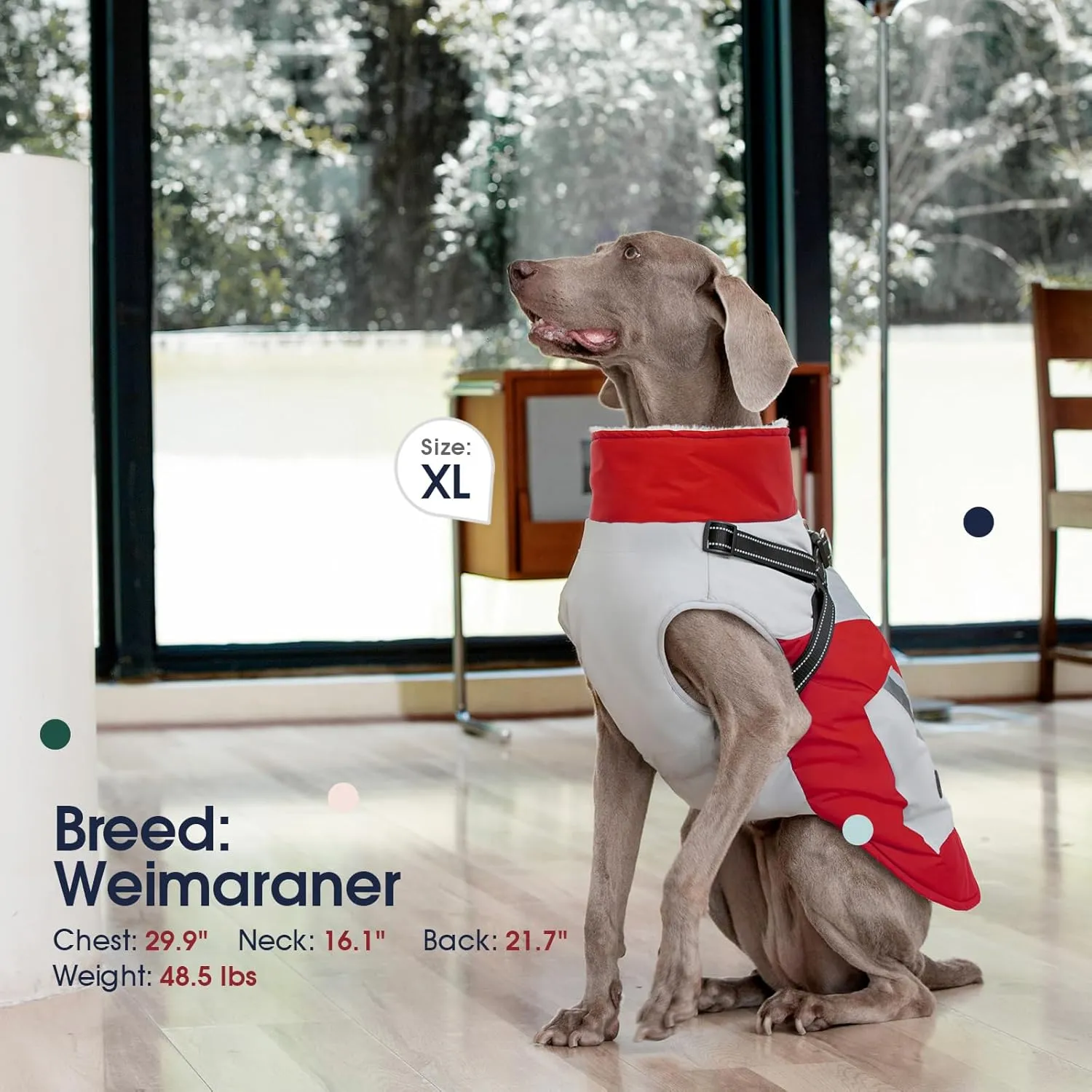 IECOii Dog Coat with Harness Built in -Red,Large- Waterproof Dog Winter Coat Back Zipper,Sweater for Dogs,Dog Jacket Clothes,Fleece Lined Dog Snow Jacket Snowsuit French Bulldog Havanais Shiba Inu