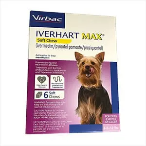 Iverhart Max (ivermectin/pyrantel pamoate/praziquantel) Soft Chews, 6 Soft Chews