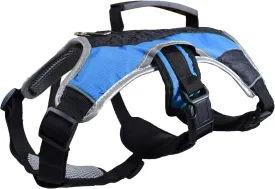 No-Pull Dog Harness - Padded, Mesh Fabric Dog Vest with Reflective Trim, Lifting Handles and Buckle Straps - Light Blue Dog Harness - L