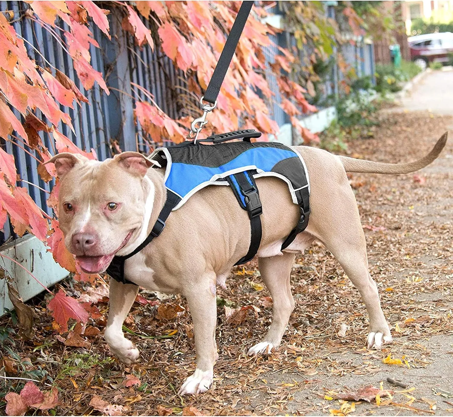 No-Pull Dog Harness - Padded, Mesh Fabric Dog Vest with Reflective Trim, Lifting Handles and Buckle Straps - Light Blue Dog Harness - L