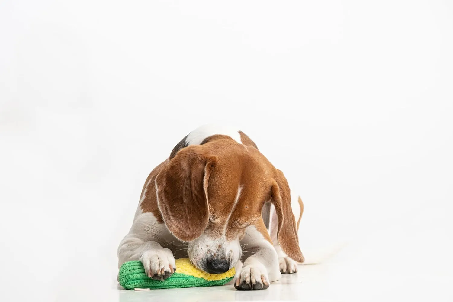 Squeaky Dog Plush Toy, Bite_Stick Collection, 8'', for Small and Medium Dogs (Corn)