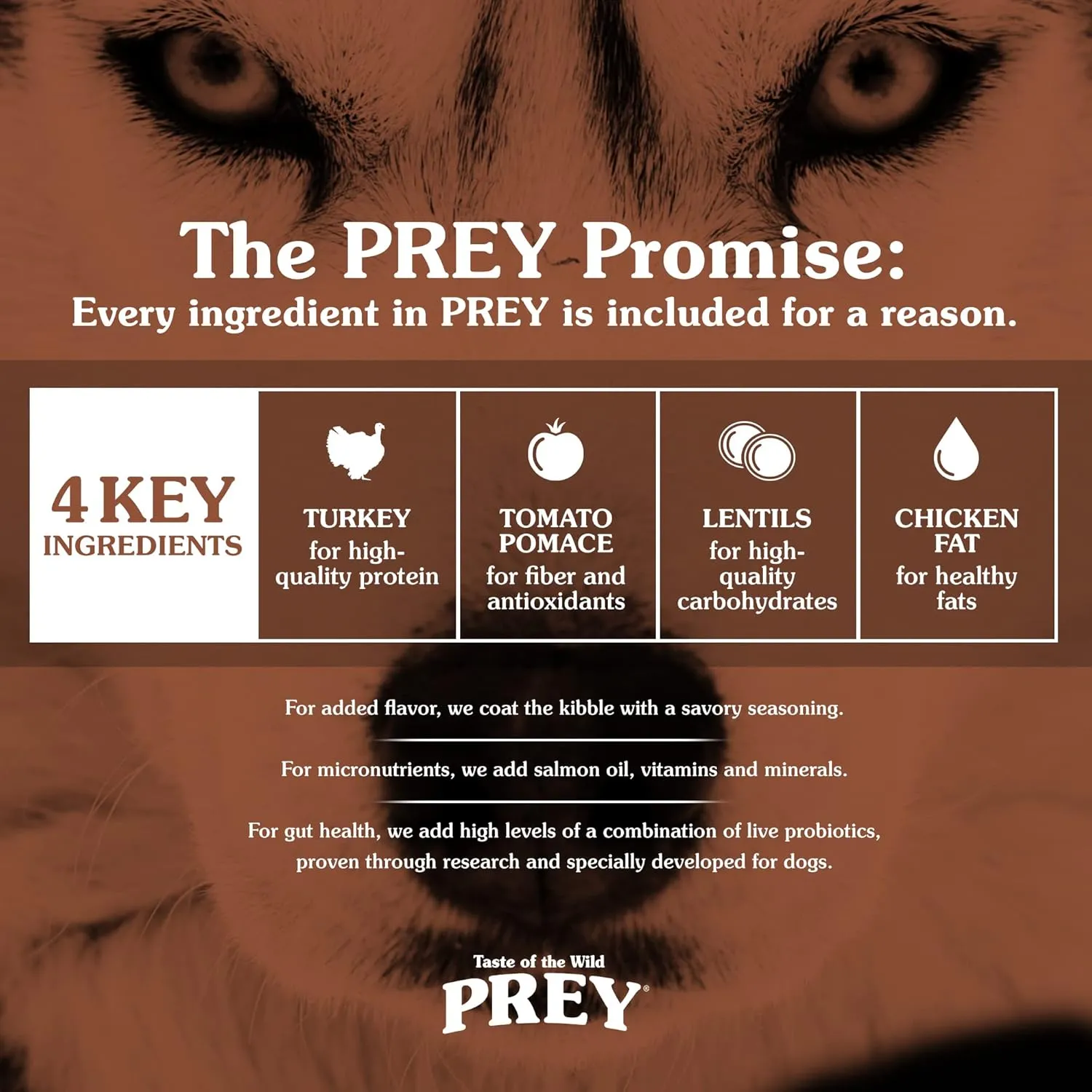 Taste of the Wild Prey Real Meat High Protein Turkey Limited Ingredient Dry Dog Food Grain-Free Recipe Made with Real Cage-Free Turkey, Probiotics, Antioxidants, and Vitamins for All Life Stages 8lb