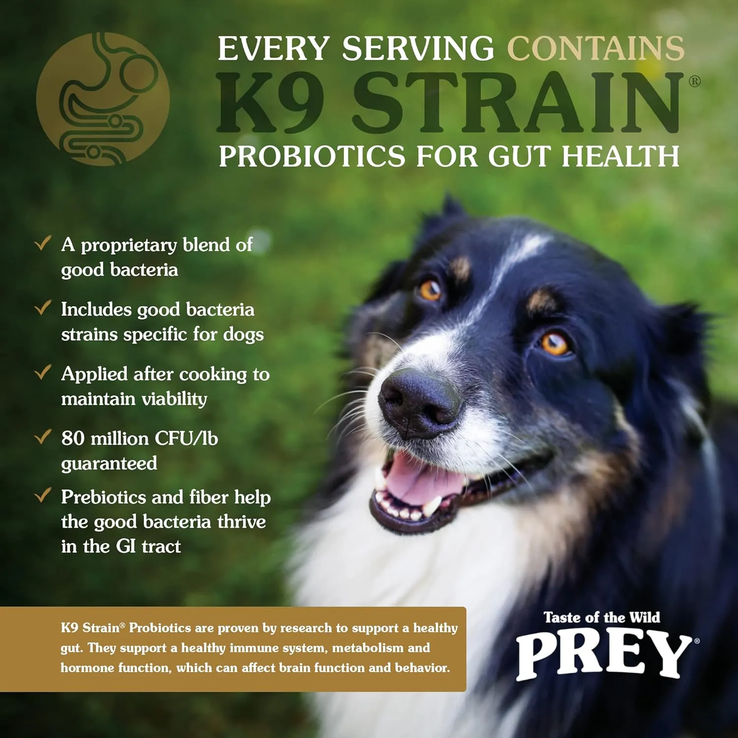 Taste of the Wild Prey Real Meat High Protein Turkey Limited Ingredient Dry Dog Food Grain-Free Recipe Made with Real Cage-Free Turkey, Probiotics, Antioxidants, and Vitamins for All Life Stages 8lb