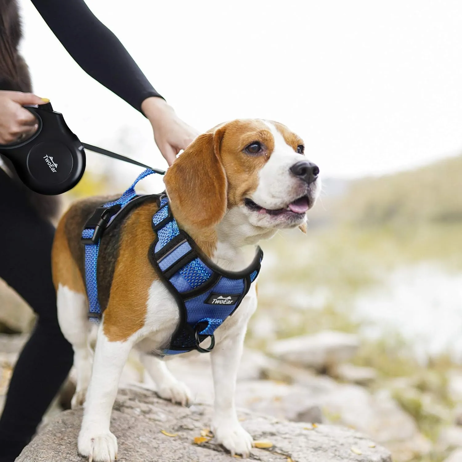TwoEar Dog Harness, No Pull Reflective Harness Front Clip Easy Control Handle Adjustable Soft Padded Pet Vest for Puppy Small Medium Large Dogs Breed Pet(Medium,Blue)