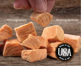 Whole Life Pet Just One Salmon - Cat Treat Or Topper - Human Grade, Freeze Dried, One Ingredient - Protein Rich, Grain Free, Made in The USA (Pack of 2)
