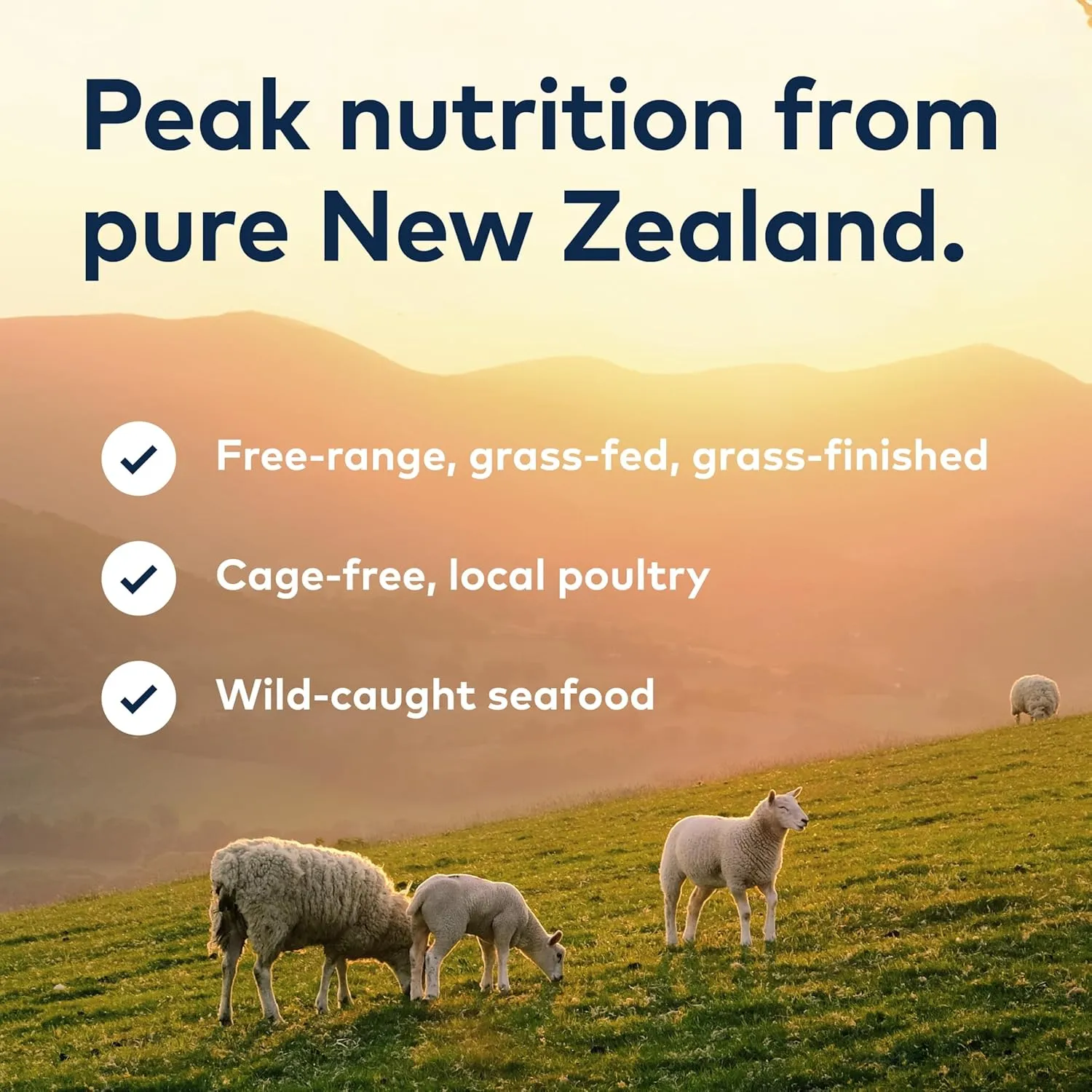 ZIWI Peak Air-Dried Dog Food  Beef - All Natural, High Protein, Grain Free, Limited Ingredient w/Superfoods (3.5oz) (Pack of 2)